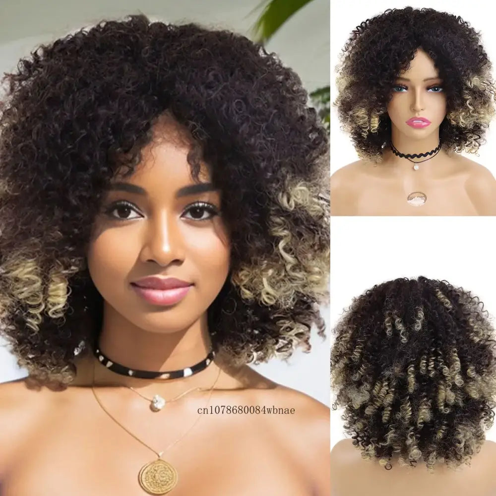 Discover Unique Afro Curly Synthetic Wigs and Fashion Styles at Queen Afro - Mix Brown