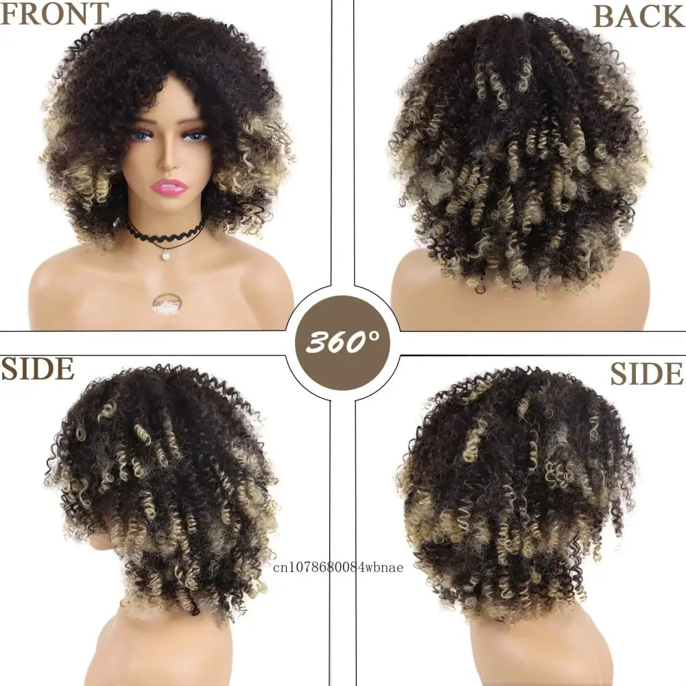 Discover Unique Afro Curly Synthetic Wigs and Fashion Styles at Queen Afro - Mix Brown