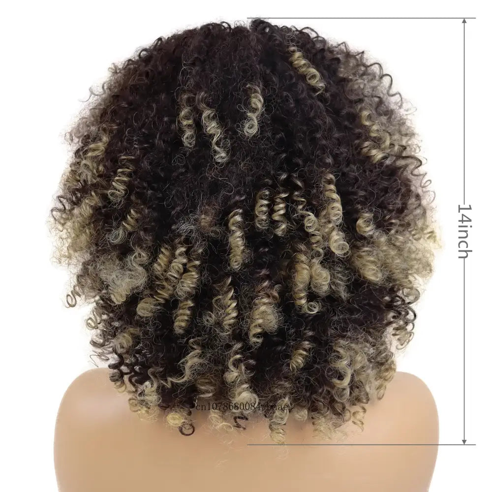 Discover Unique Afro Curly Synthetic Wigs and Fashion Styles at Queen Afro - Mix Brown