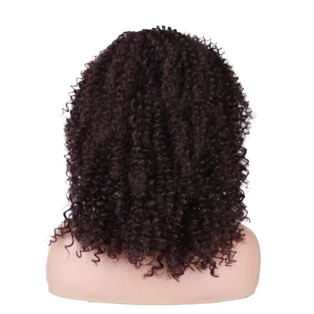 Diverse Products for Your Unique Style: Afro Kinky Curly Wigs & Accessories - #99J / 18inches