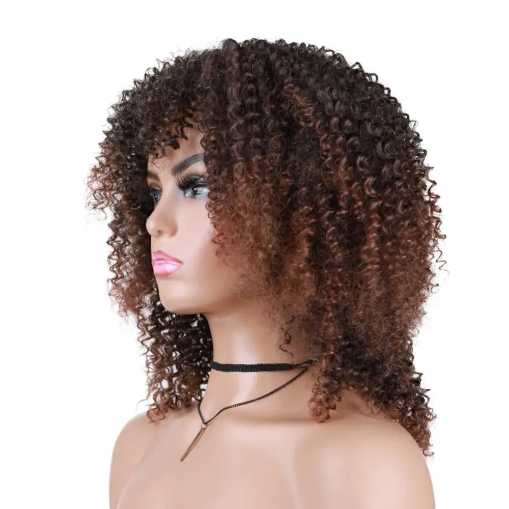 Diverse Products for Your Unique Style: Afro Kinky Curly Wigs & Accessories - T1B 30 / 18inches