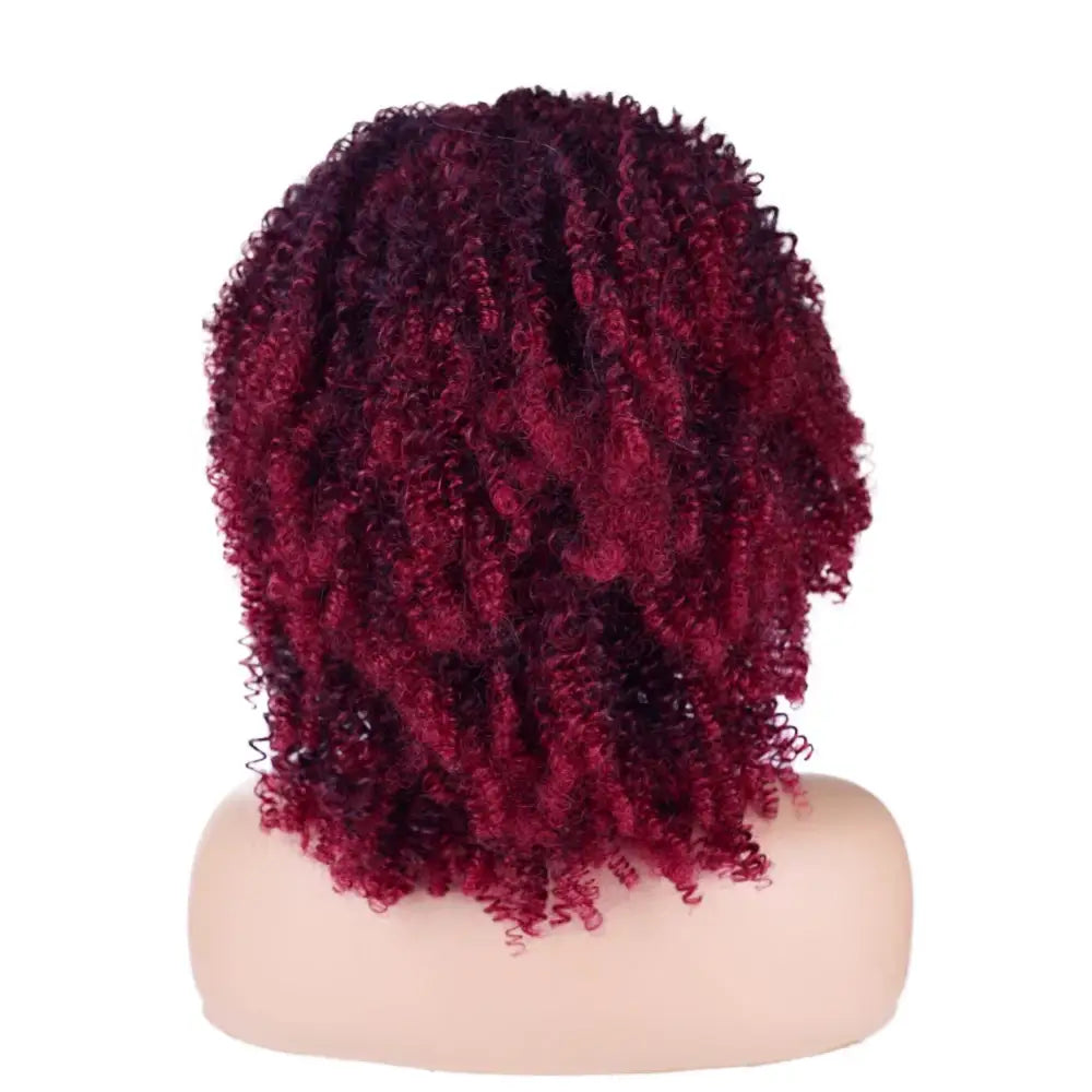 Diverse Products for Your Unique Style: Afro Kinky Curly Wigs & Accessories - T1B BUG / 18inches