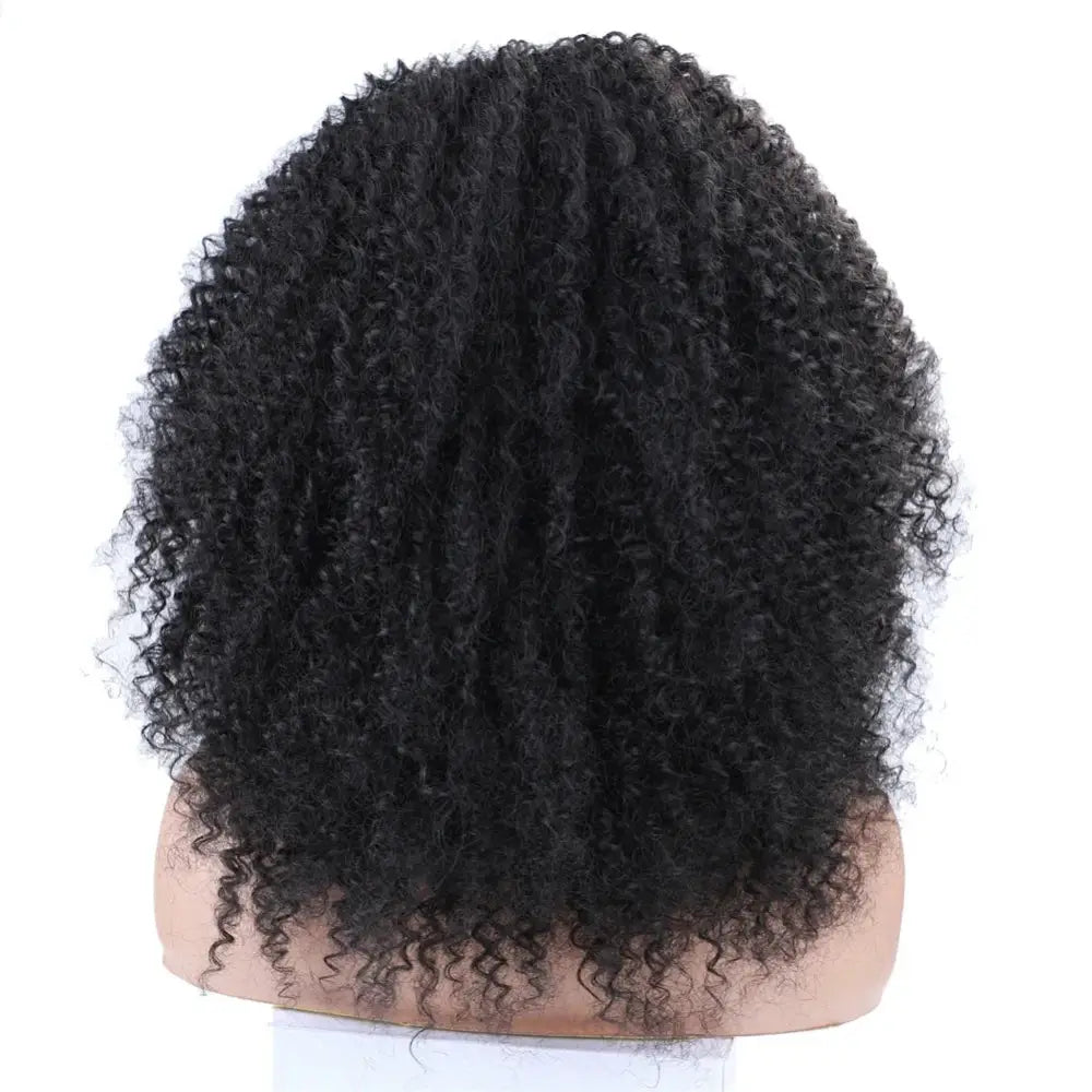 Diverse Products for Your Unique Style: Afro Kinky Curly Wigs & Accessories