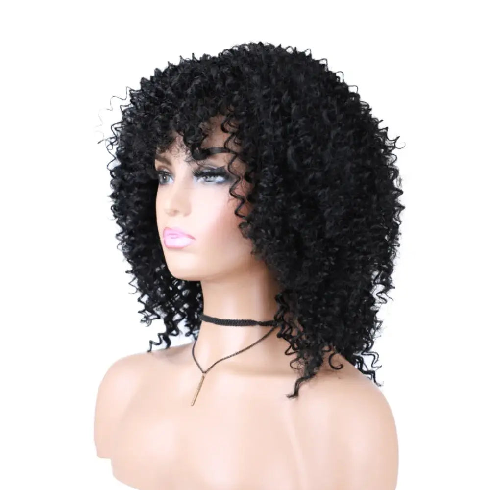 Diverse Products for Your Unique Style: Afro Kinky Curly Wigs & Accessories - #1 / 18inches