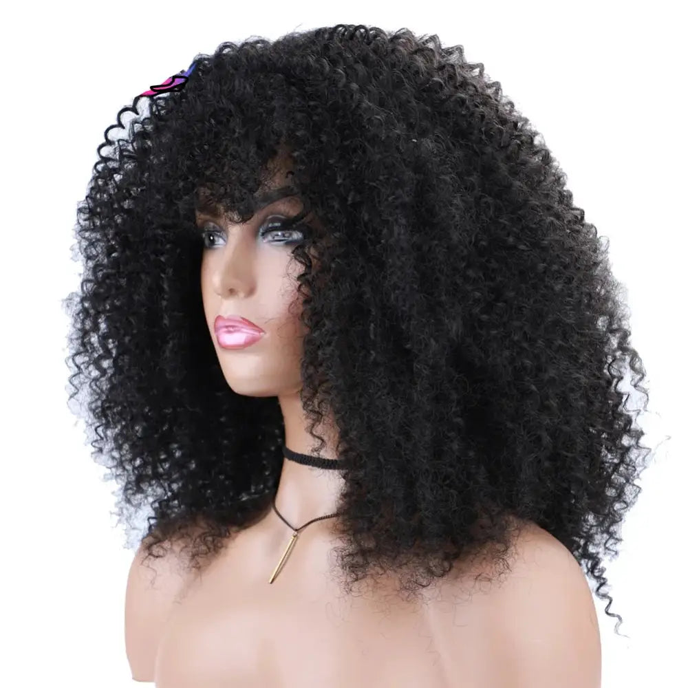 Diverse Products for Your Unique Style: Afro Kinky Curly Wigs & Accessories