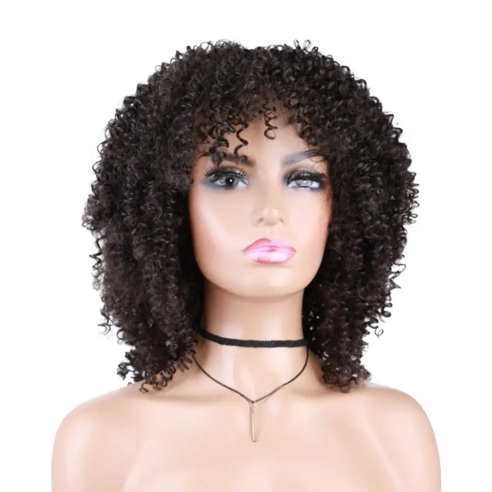 Diverse Products for Your Unique Style: Afro Kinky Curly Wigs & Accessories - #4 / 18inches