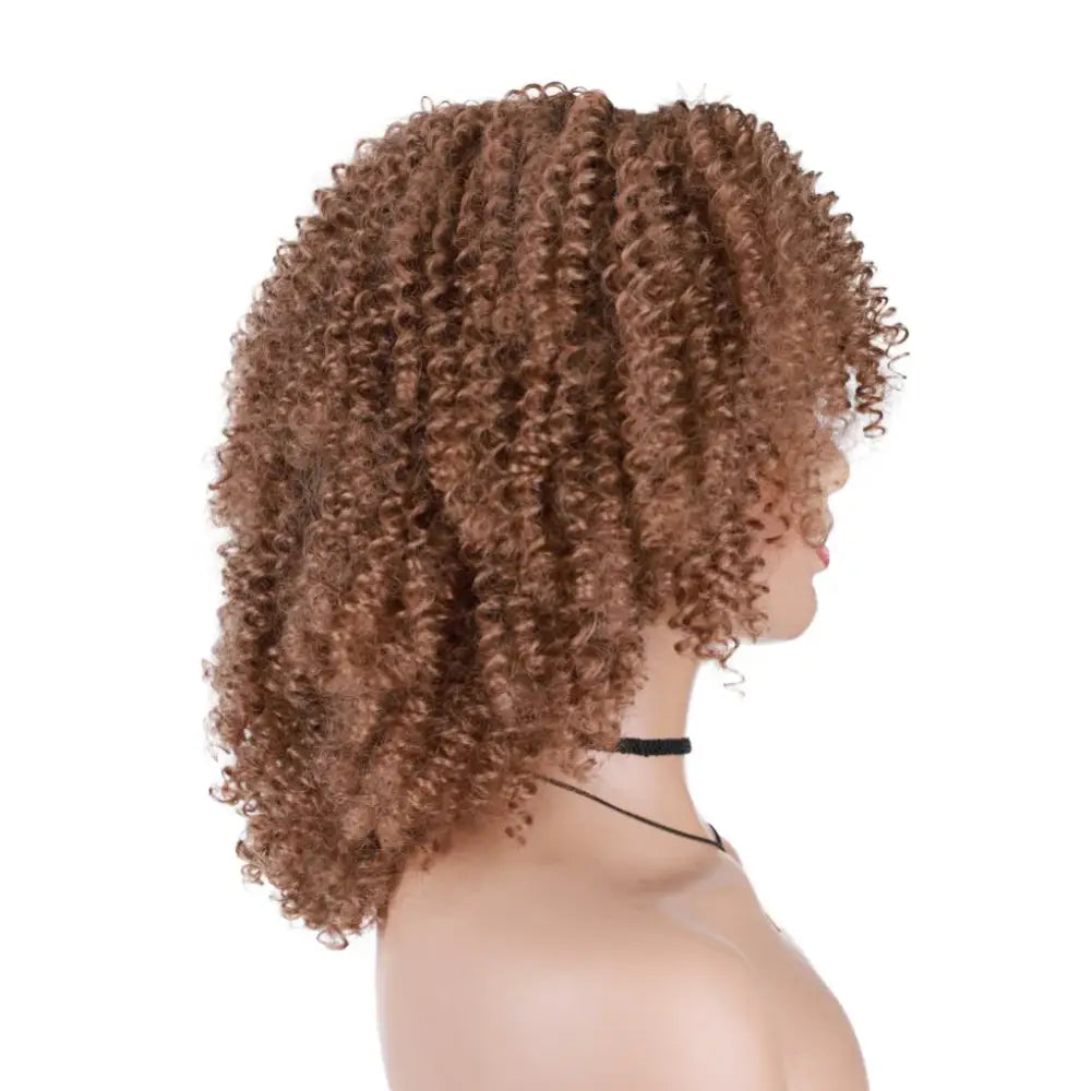 Diverse Products for Your Unique Style: Afro Kinky Curly Wigs & Accessories - #27 / 18inches