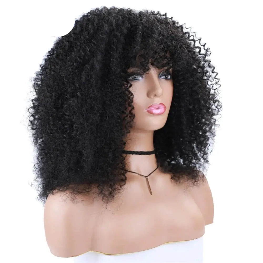 Diverse Products for Your Unique Style: Afro Kinky Curly Wigs & Accessories