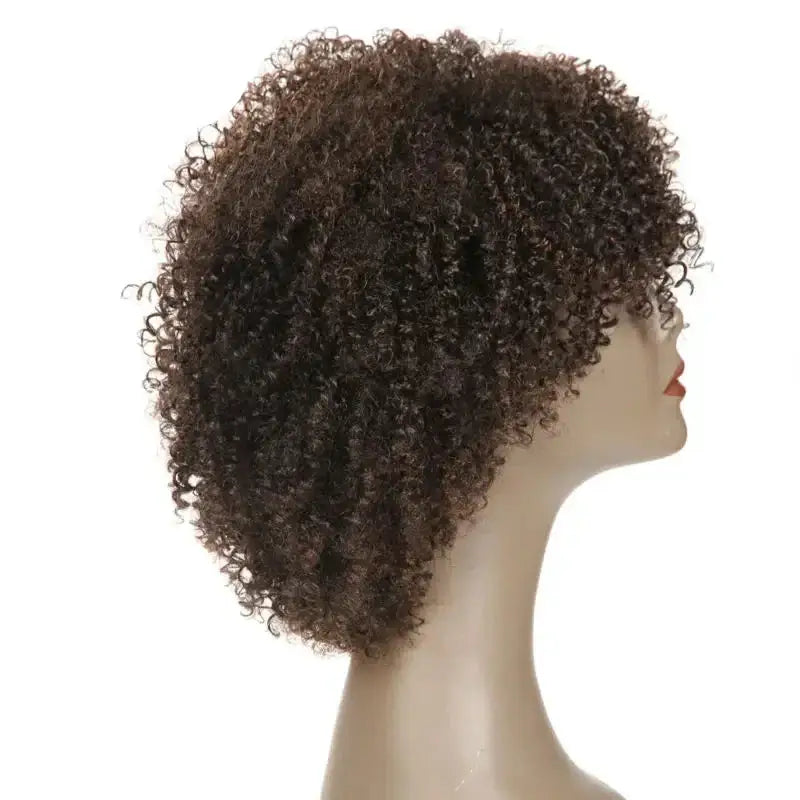 Elevate Your Look with Afro Kinky Synthetic Wigs and New Arrivals