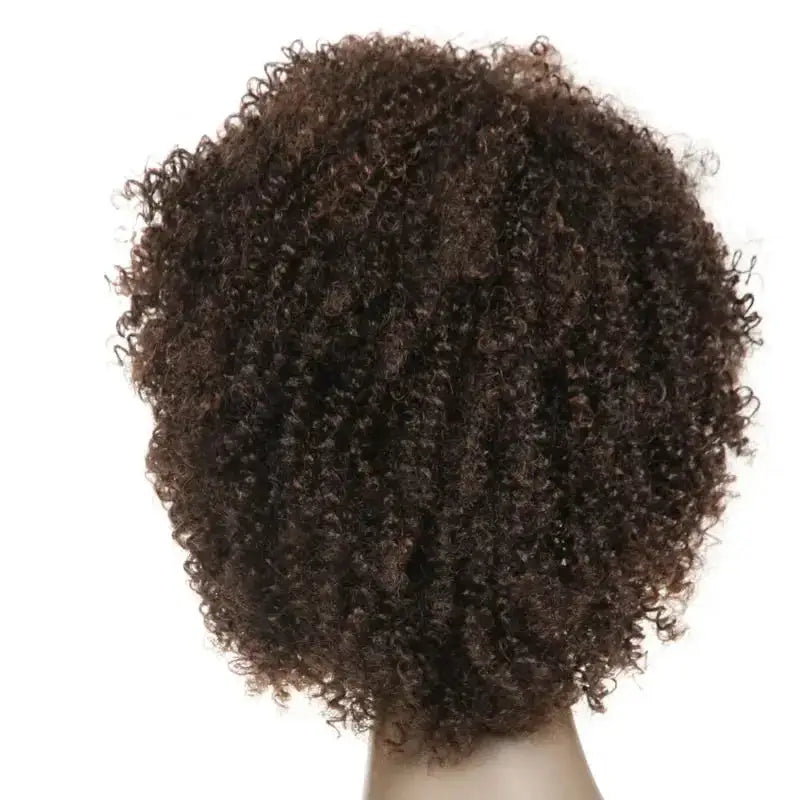 Elevate Your Look with Afro Kinky Synthetic Wigs and New Arrivals