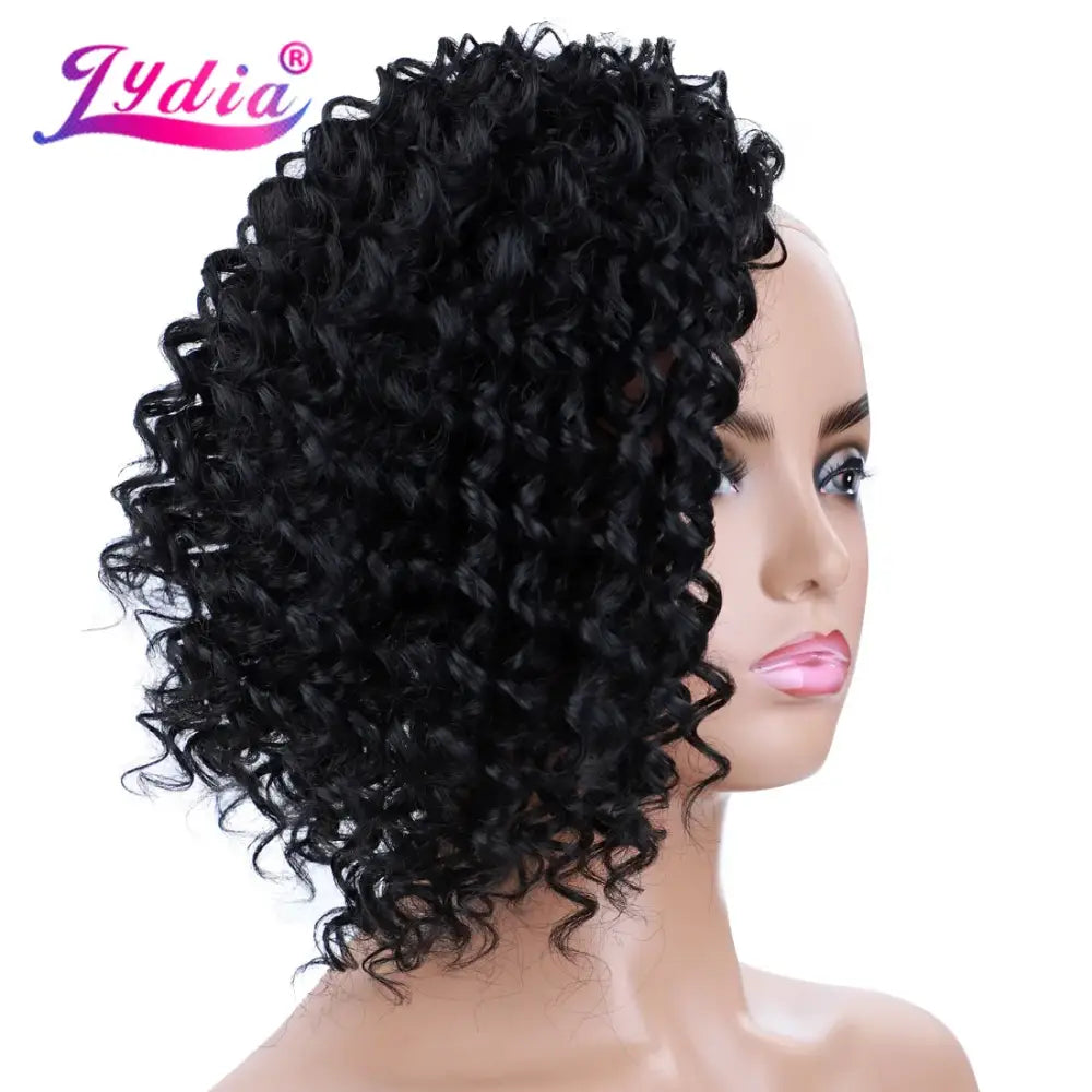 Elevate Your Style with Afro Kinky Curly Wigs and Beauty Essentials - #1B