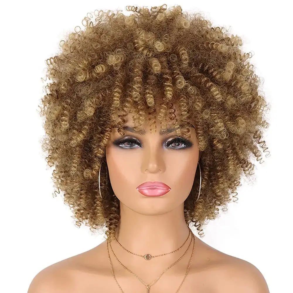 Elevate Your Style with Luxe Hair Care and Accessories for Afro Kinky Curly - 30T27 / 10inches