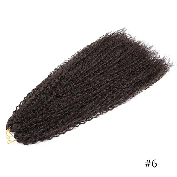 Embrace Individuality with Tomo Crochet Hair Extensions and Styles - #6 / 30inches-76cm / CHINA | 1Pack