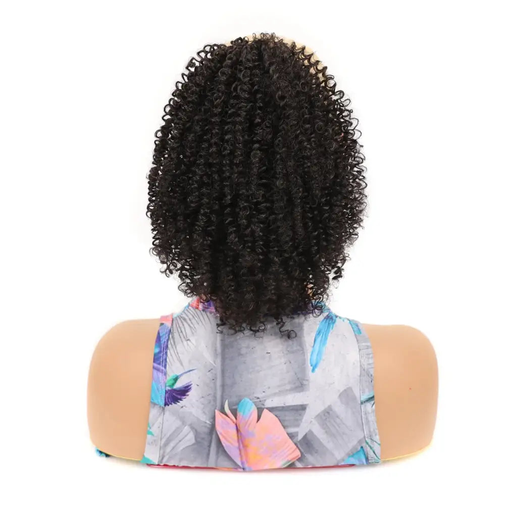 Embrace Your Beauty with Kinky Curly Wigs and Ponytail Extensions