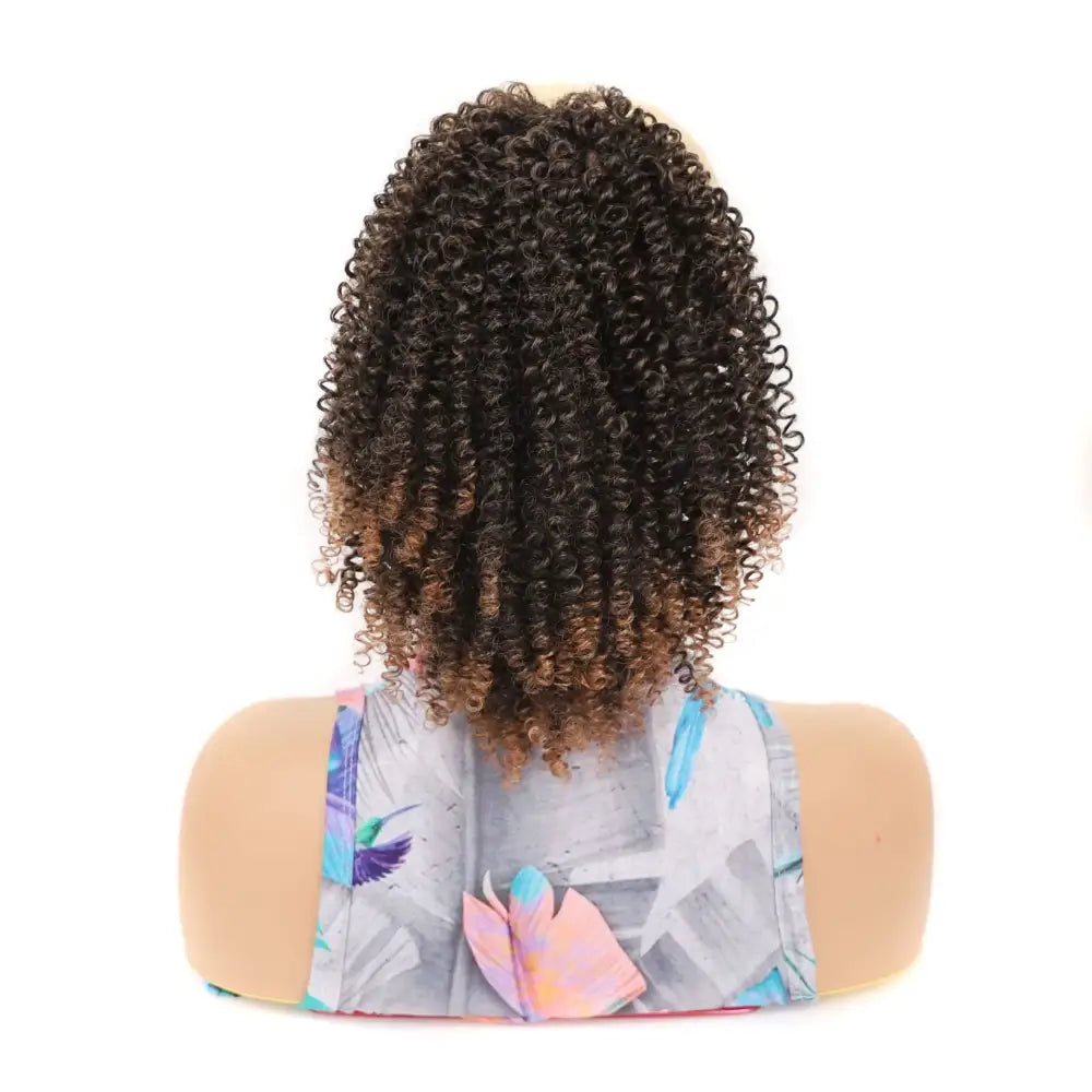 Embrace Your Beauty with Kinky Curly Wigs and Ponytail Extensions - 1BT30 / 20inches