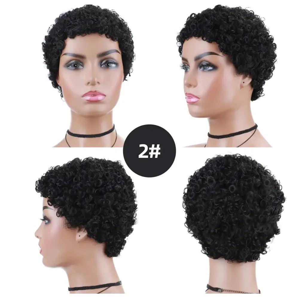 Explore Lydia Synthetic Wigs and Discover Stylish New Arrivals - #2 / 2INCHES