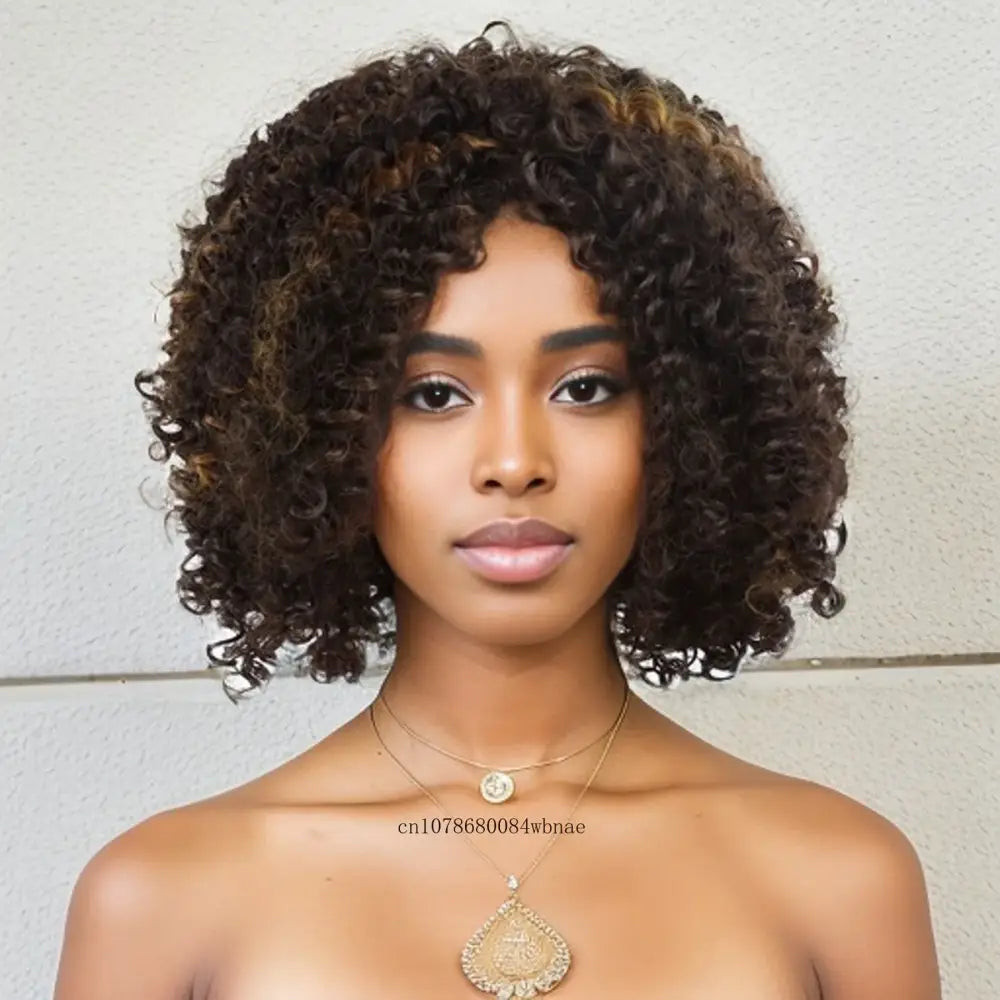 Explore New Arrivals for Brown Afro Kinky and Kinky Curly Wigs - Mix Brown