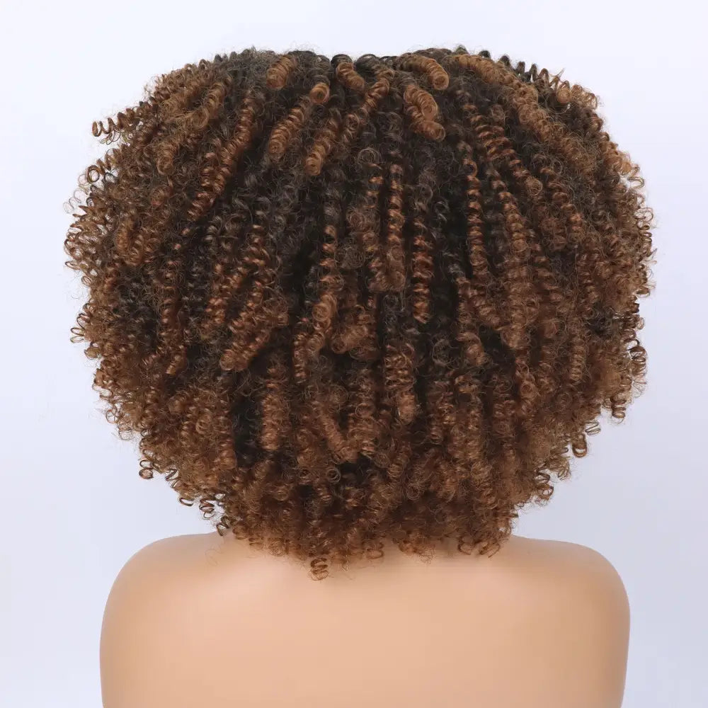 Explore New Arrivals: Tereshar Synthetic Short Curly Wigs and More