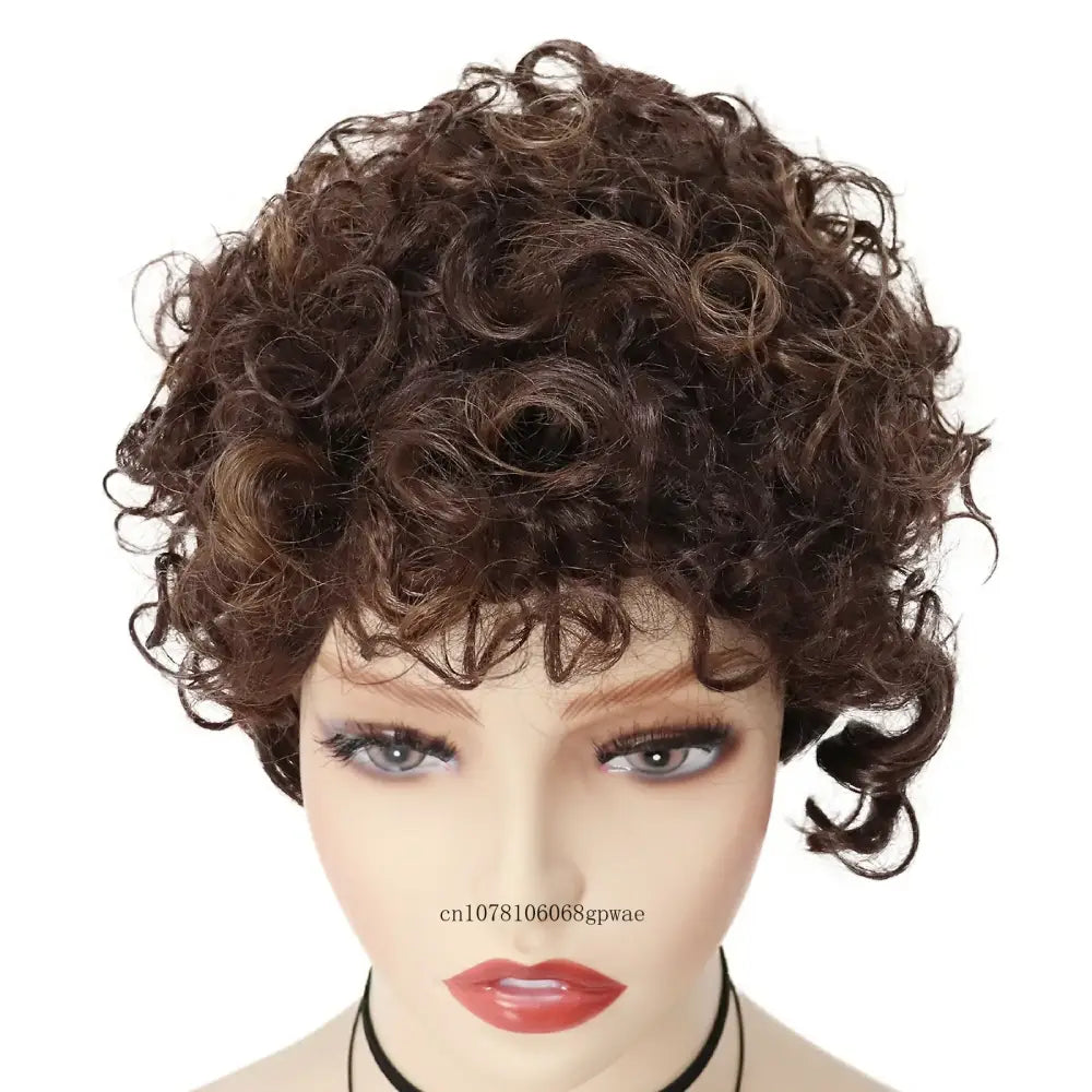 Explore New Arrivals: Trendy Short Brown Afro Curly Wigs - Mix Brown