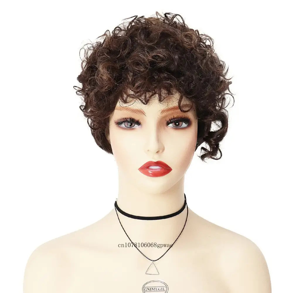 Explore New Arrivals: Trendy Short Brown Afro Curly Wigs - Mix Brown