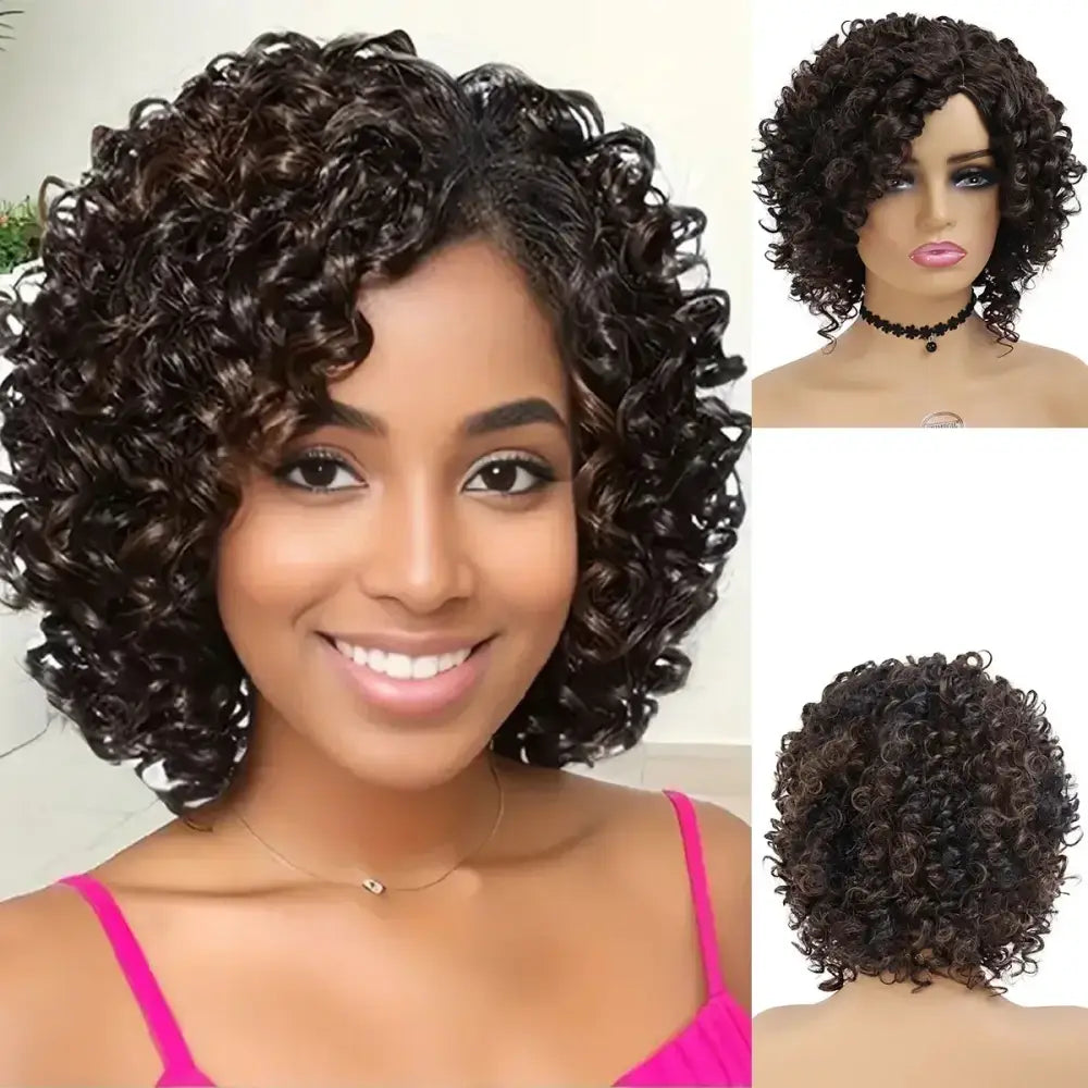 Explore New Arrivals: Vibrant Afro Kinky Curly Wigs and More - Mix Brown / 12INCHES