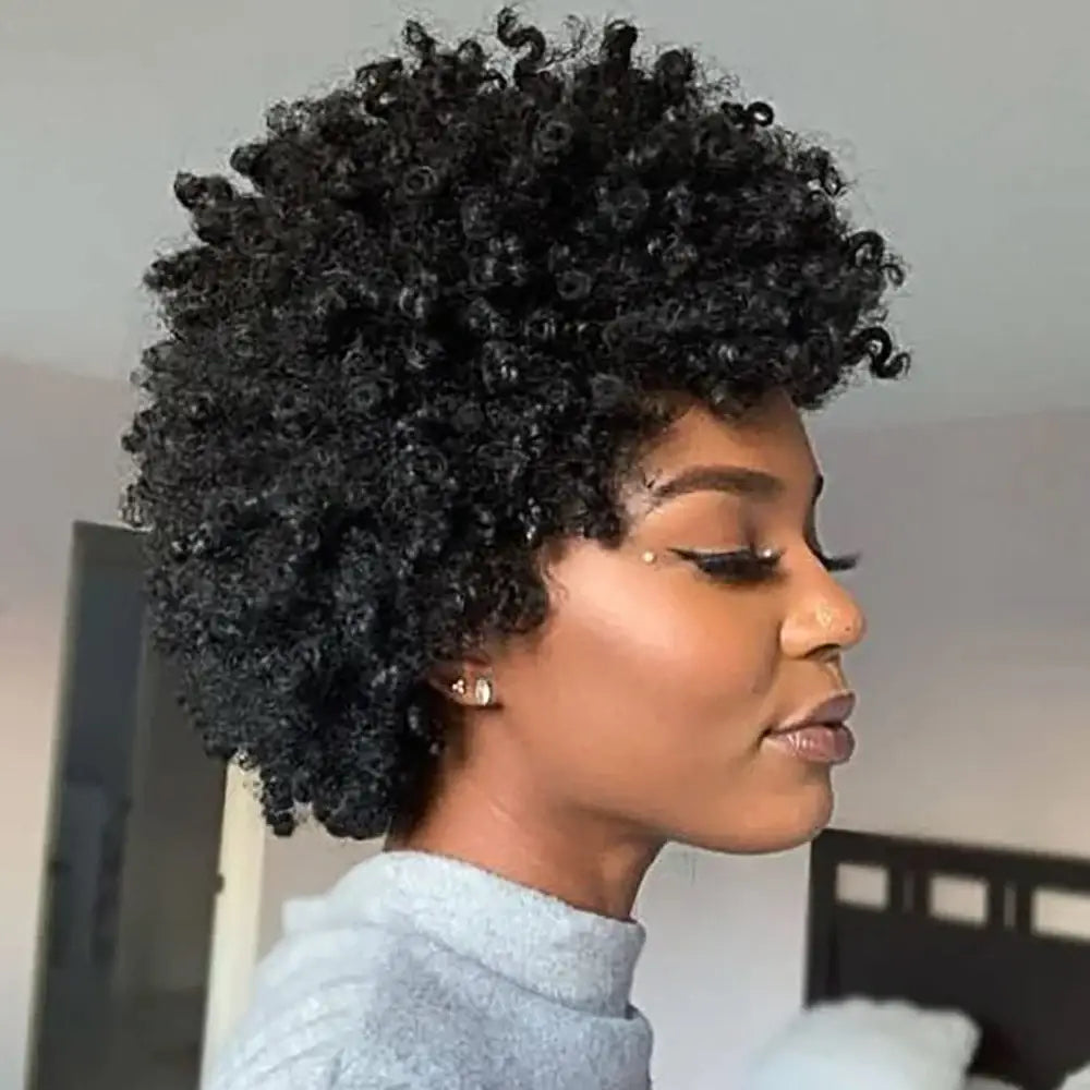 Explore Queen Afro’s Kinky Black Wigs and Exquisite Accessories - 1088