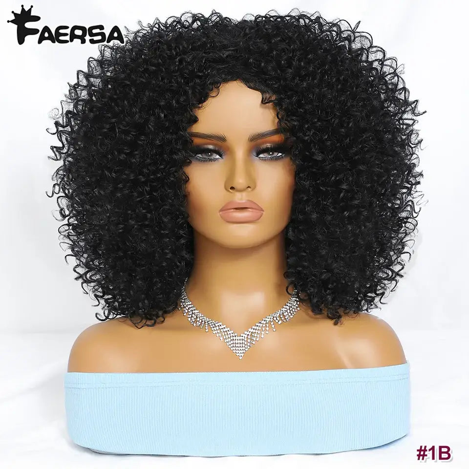 Explore Queen Afro’s Unique Haircare and Kinky Curly Wigs Collection - #1B / 1pc