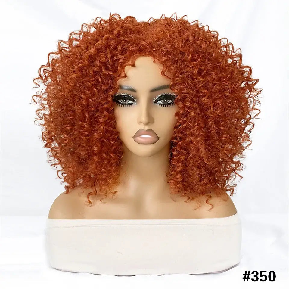 Explore Queen Afro’s Unique Haircare and Kinky Curly Wigs Collection - 350 / 1pc