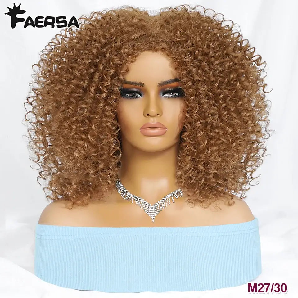 Explore Queen Afro’s Unique Haircare and Kinky Curly Wigs Collection - M27-30 / 1pc