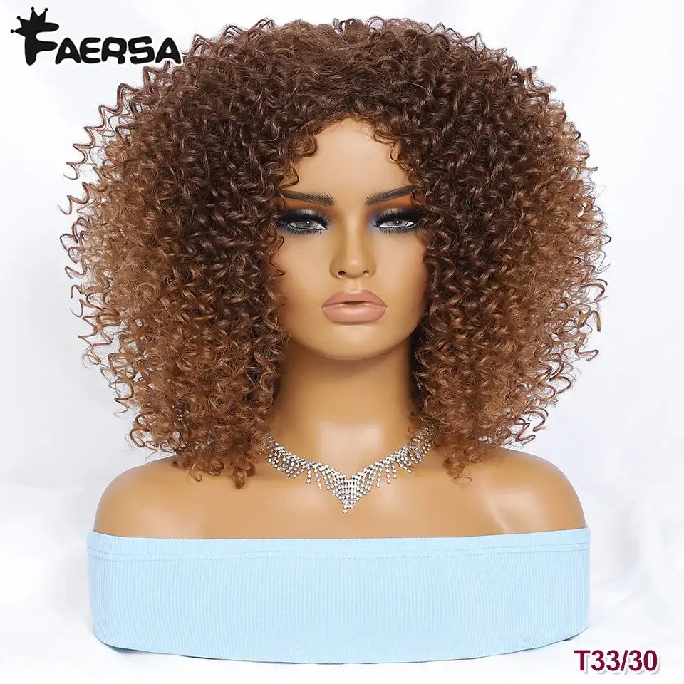 Explore Queen Afro’s Unique Haircare and Kinky Curly Wigs Collection - T33-30 / 1pc