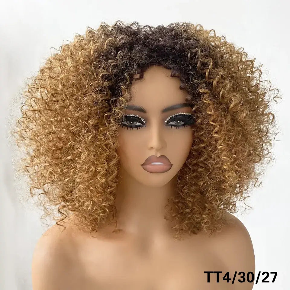 Explore Queen Afro’s Unique Haircare and Kinky Curly Wigs Collection - TT4-30-27 / 1pc