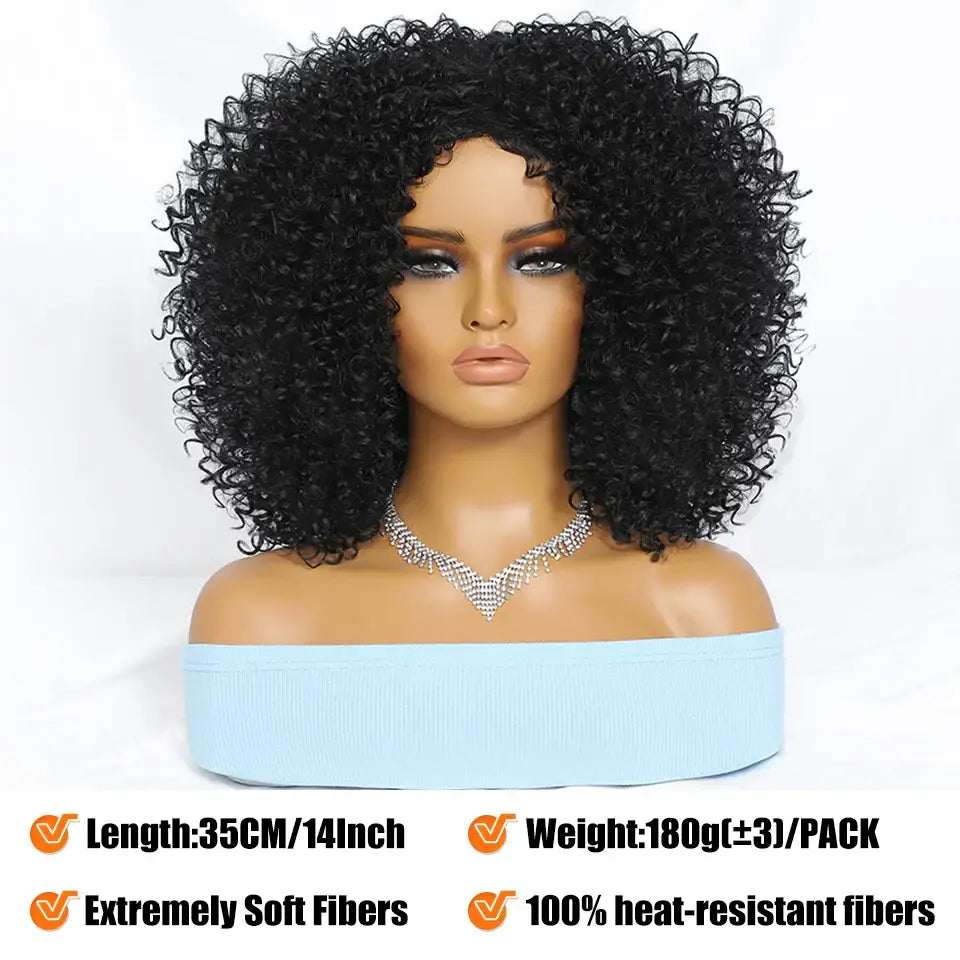 Explore Queen Afro’s Unique Haircare and Kinky Curly Wigs Collection