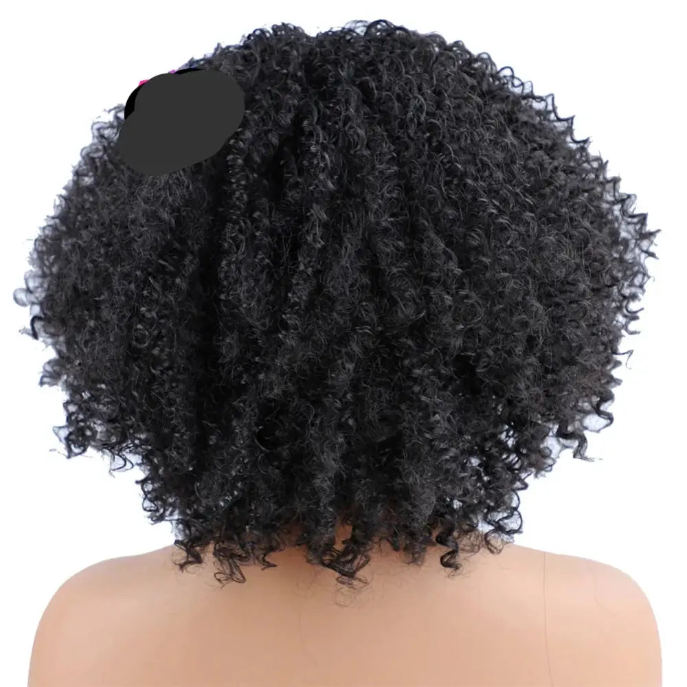 Explore Timeless Treasures: Afro Kinky Curly Styles and More