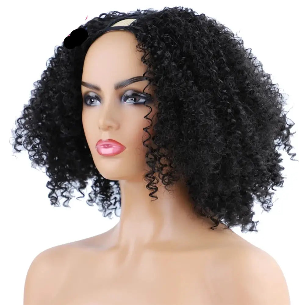 Explore Timeless Treasures: Afro Kinky Curly Styles and More