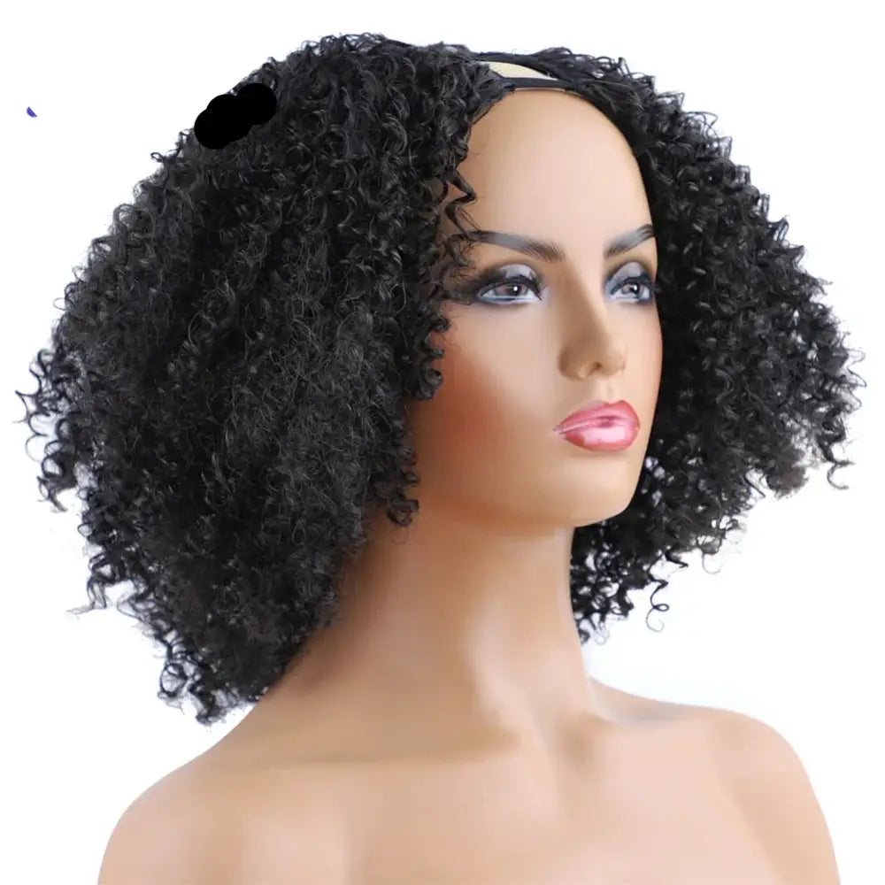 Explore Timeless Treasures: Afro Kinky Curly Styles and More