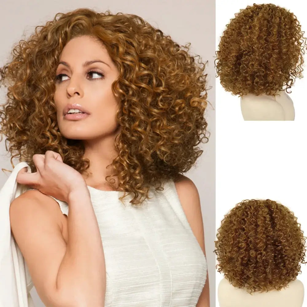 Explore Trendy Wigs: Brown Mix Blonde and Blonde Curly Afro Styles - 1B/30HL