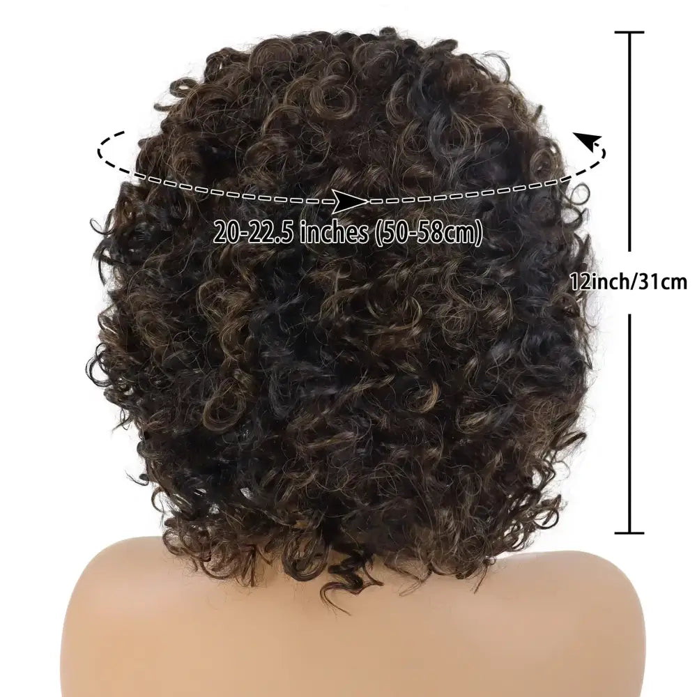 Explore Trendy Wigs: Short Brown Curly and Brown Curly Afro Styles