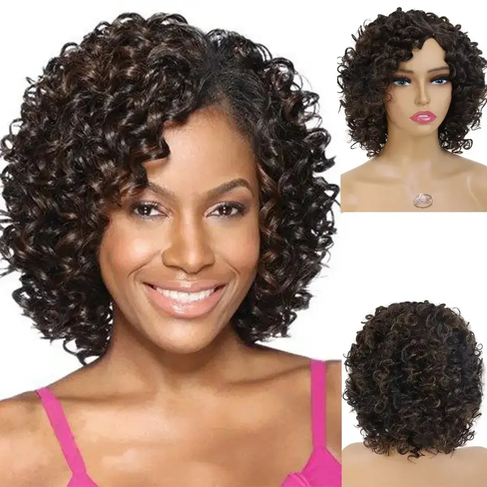 Explore Trendy Wigs: Short Brown Curly and Brown Curly Afro Styles - Mix Brown