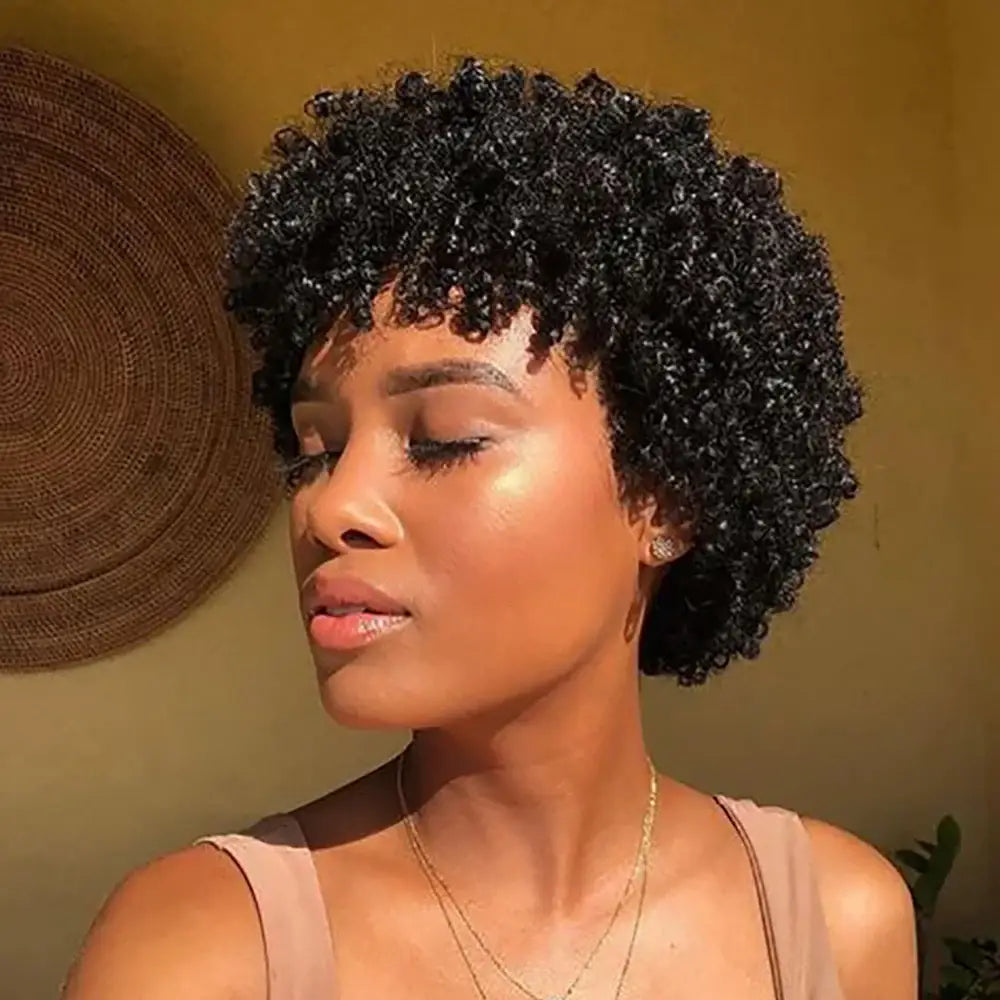 Fashionable Afro Kinky Curly Wigs to Enhance Your Style - 9376-1B