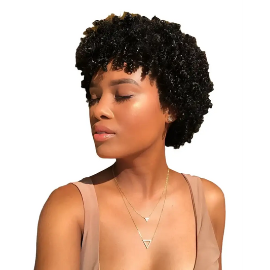 Fashionable Afro Kinky Curly Wigs to Enhance Your Style - 9376-1B