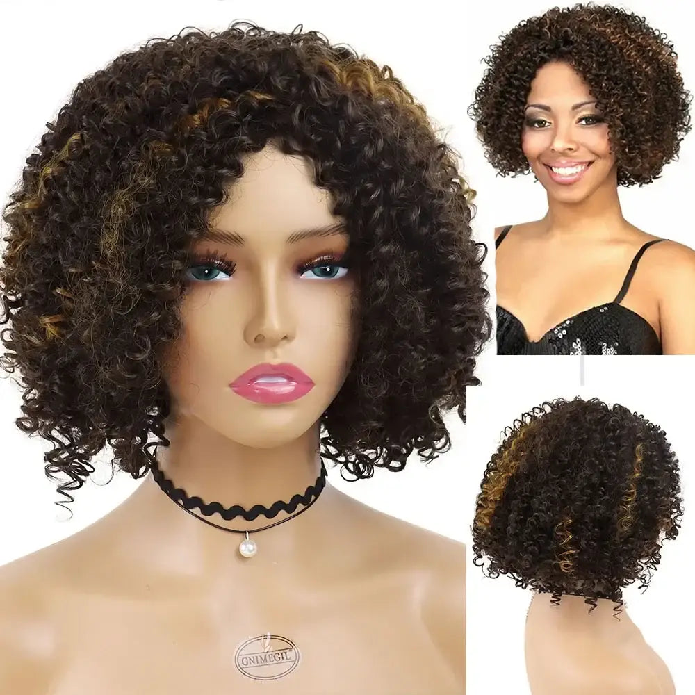 New Arrivals: Discover Kinky Curly Highlight Wigs and Accessories - T1B/613