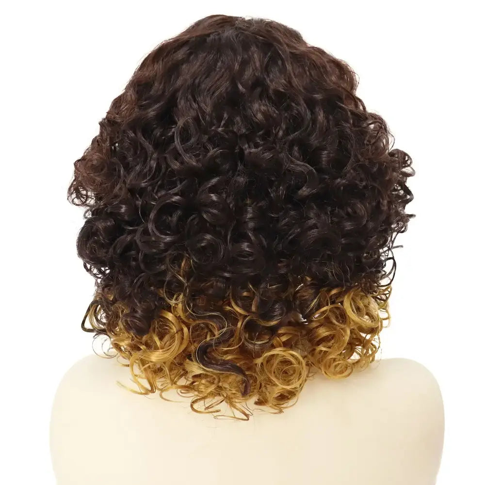 New Arrivals: Discover Kinky Curly Highlight Wigs and Accessories