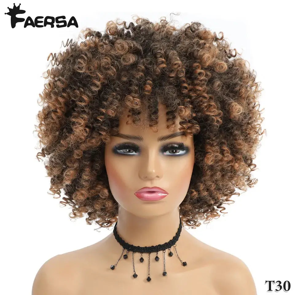 New Arrivals: Embrace Short Afro Kinky and Kinky Curly Wigs - T30 / 1pc / 8inches