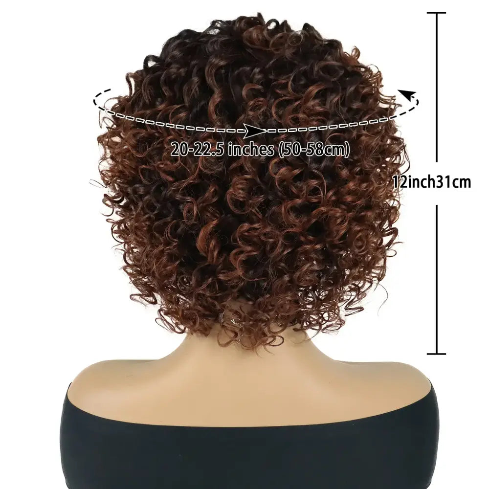 New Arrivals: Ombre Curly Brown Wigs for Fresh Beginnings