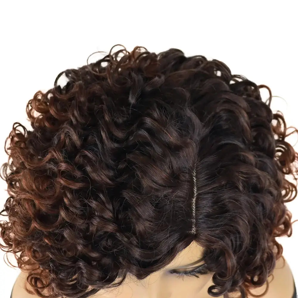 New Arrivals: Ombre Curly Brown Wigs for Fresh Beginnings