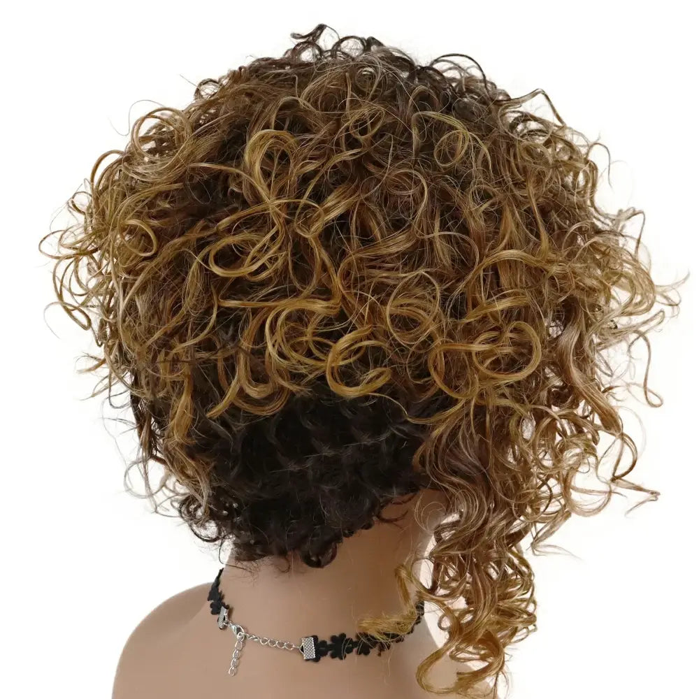 New Arrivals: Stylish Afro Curly Wigs for Your Unique Look