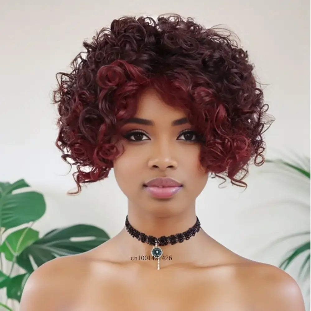 New Arrivals: Stylish Afro Curly Wigs for Your Unique Look - Auburn