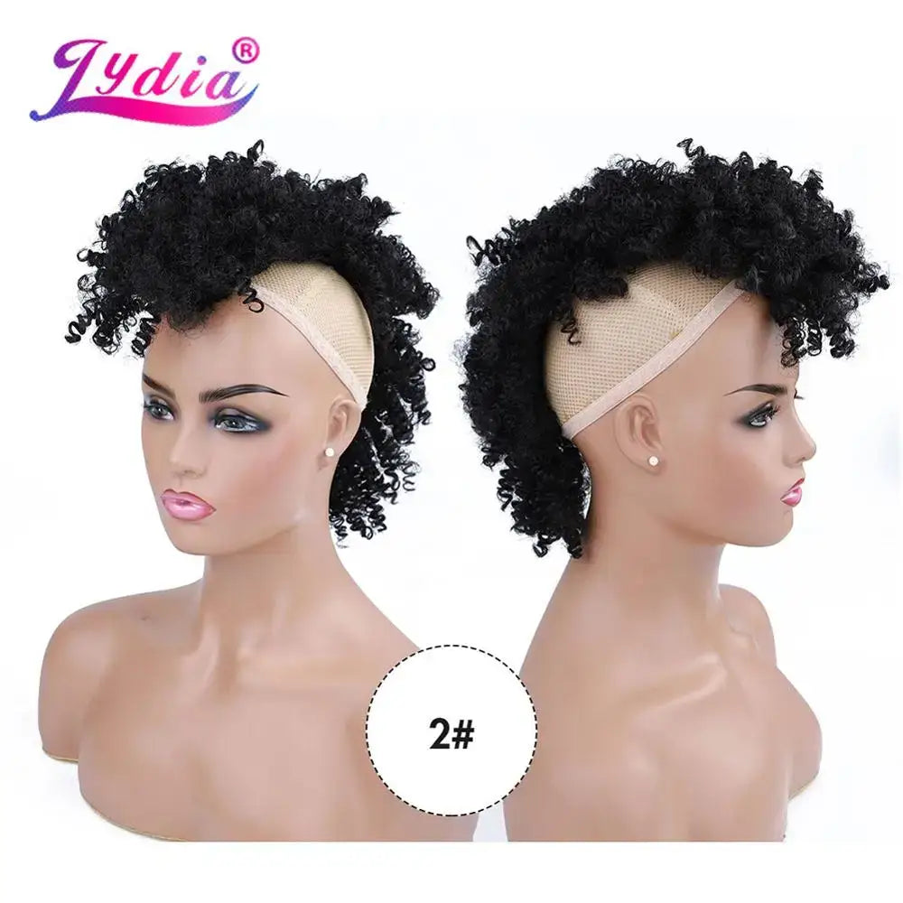 New Arrivals: Stylish Lydia Synthetic Afro Kinky Curly Options - #2