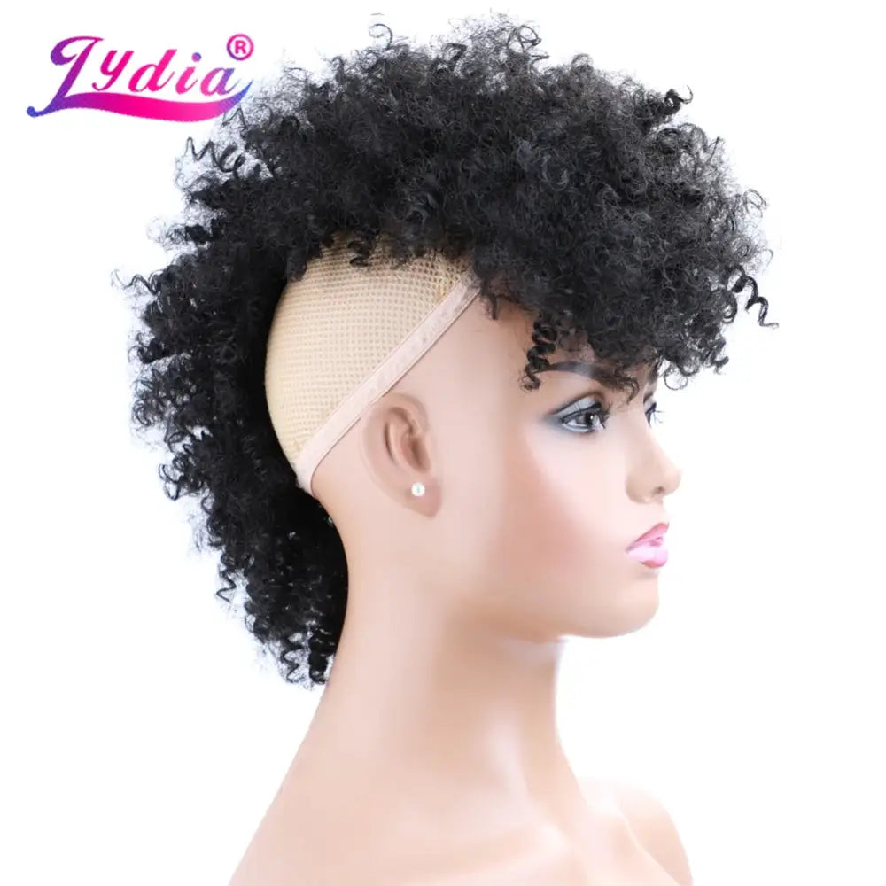 New Arrivals: Stylish Lydia Synthetic Afro Kinky Curly Options