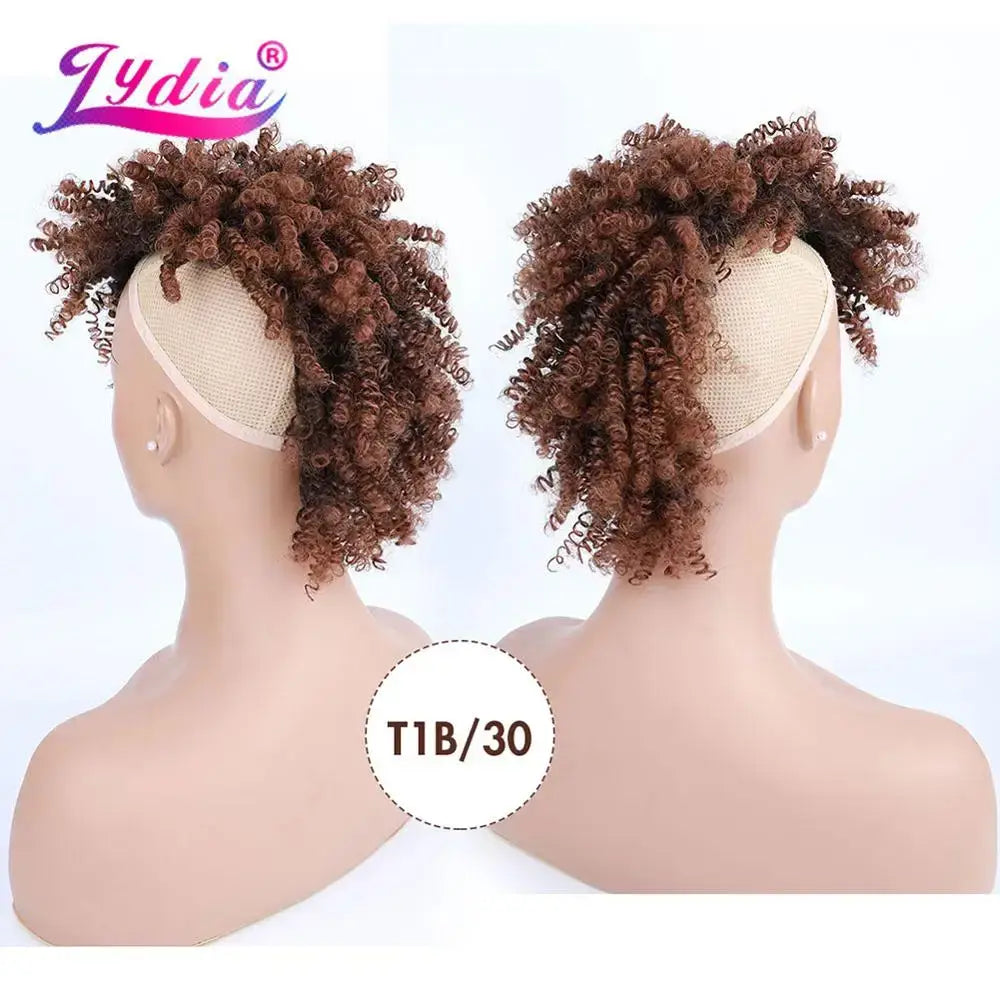 New Arrivals: Stylish Lydia Synthetic Afro Kinky Curly Options - T1B/30